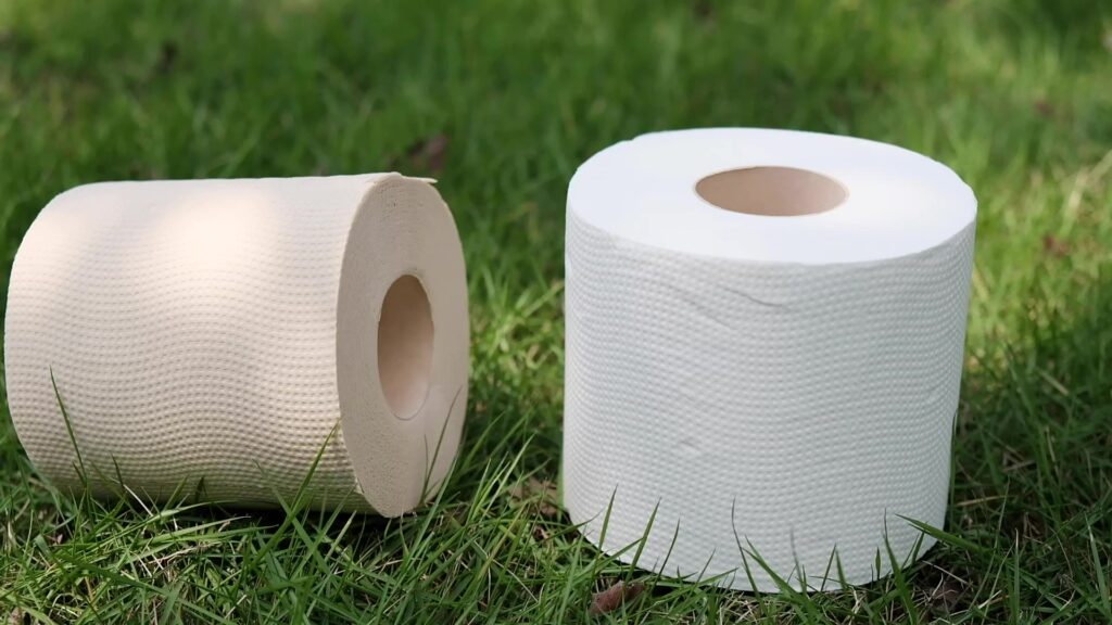 Is Bamboo Toilet Paper Clogging Your Drains?